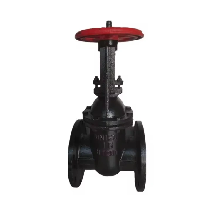 dn100 pn25 pn16 wcb 6 inch cast iron size 1/2 flange manual double disc gate valve