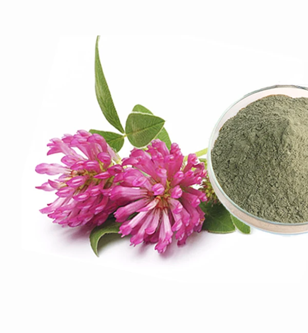 Red Clover Extract Trifolium Pratense L. extract Isoflavone
