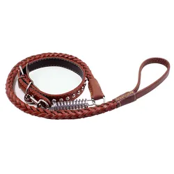 Pet Dog Traction Rope Eight-strand Cowhide Spring Belt Outdoor Anti-scourization Guide Leather Dog Collar And Leash