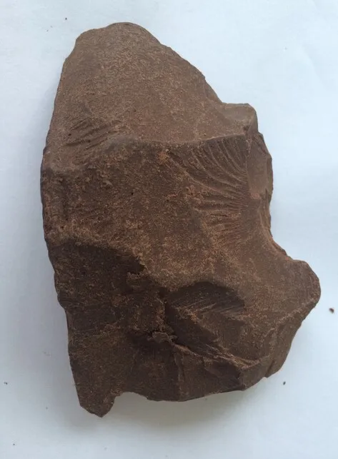 Food grade cocoa mass and cocoa butter