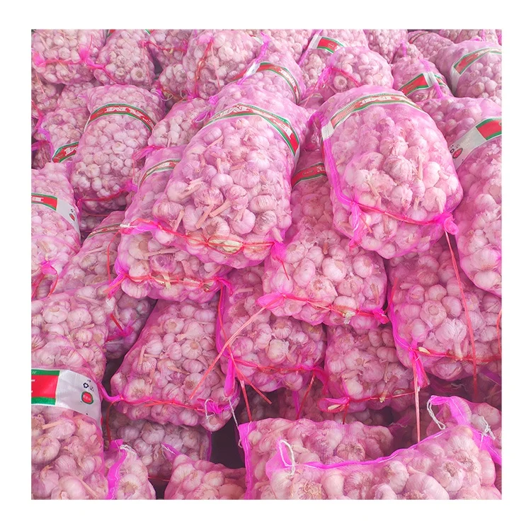 Bawang putih high quality fresh normal white garlic for Indonesia 20kg mesh bag garlic bawang putih