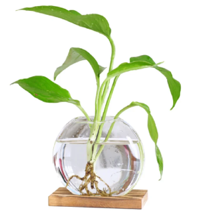 Wind wood art hydroponic green radish decoration glass vase living room home decoration office desktop decoration