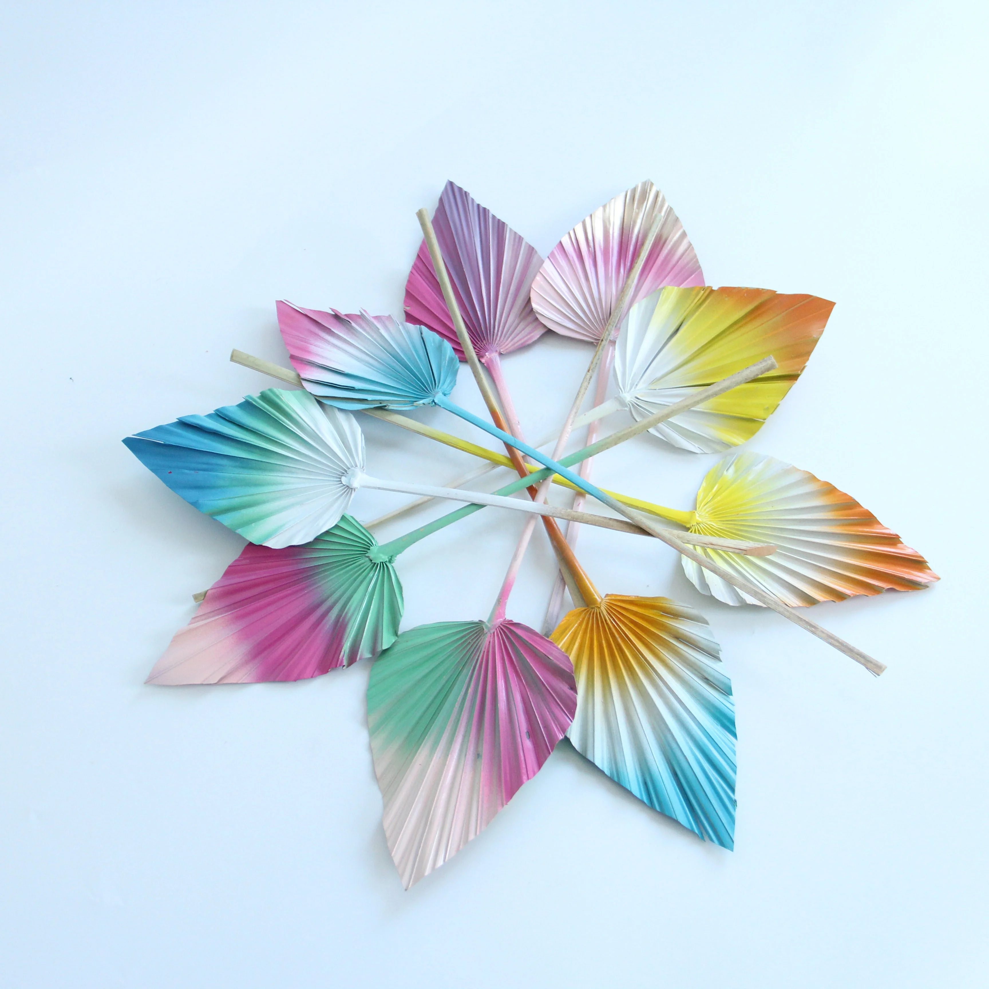 Natural Preserved Dried Flowers Pampas Mini White Palm Leaves Palm Tree Leaves Flowers Tropical Dry Spears Fan Leaf
