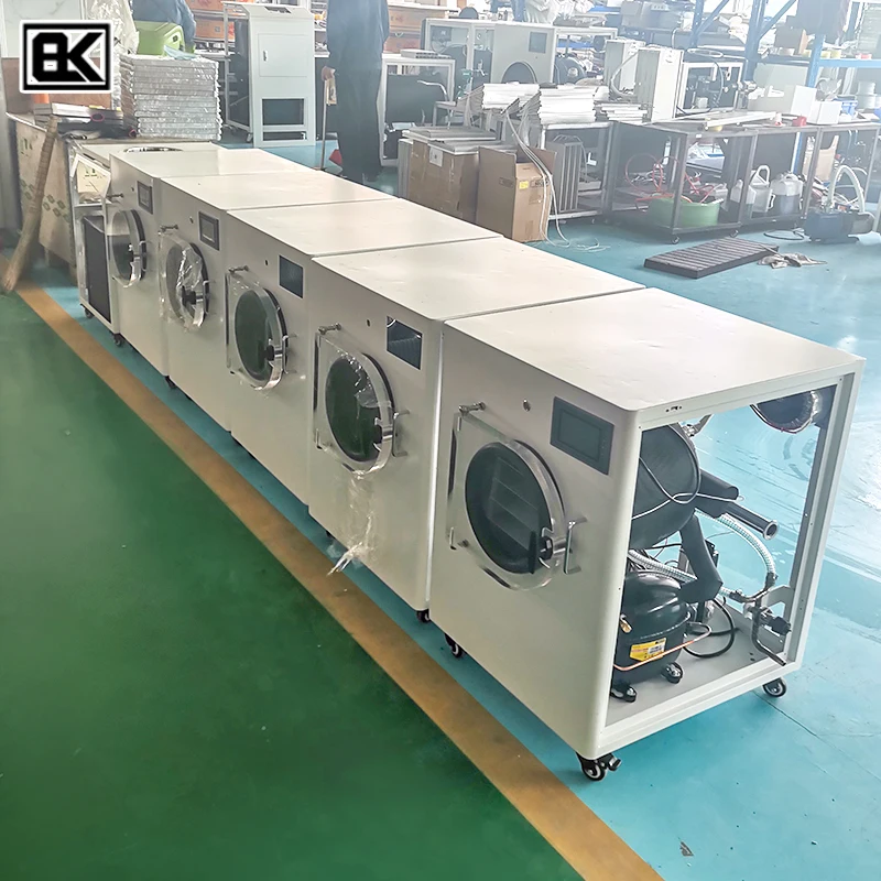 Reasonable Price freeze dried instant tea longan radish juice powder cabbage fruit potato mini home freeze drying machine//