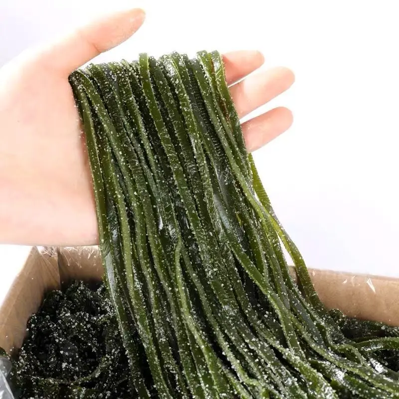 Seafood Factory Machine High Quality New Crop Dried Cut Salted Kelp Laminaria Dry Salted Kelp Silk Dried Without Salt Shredded