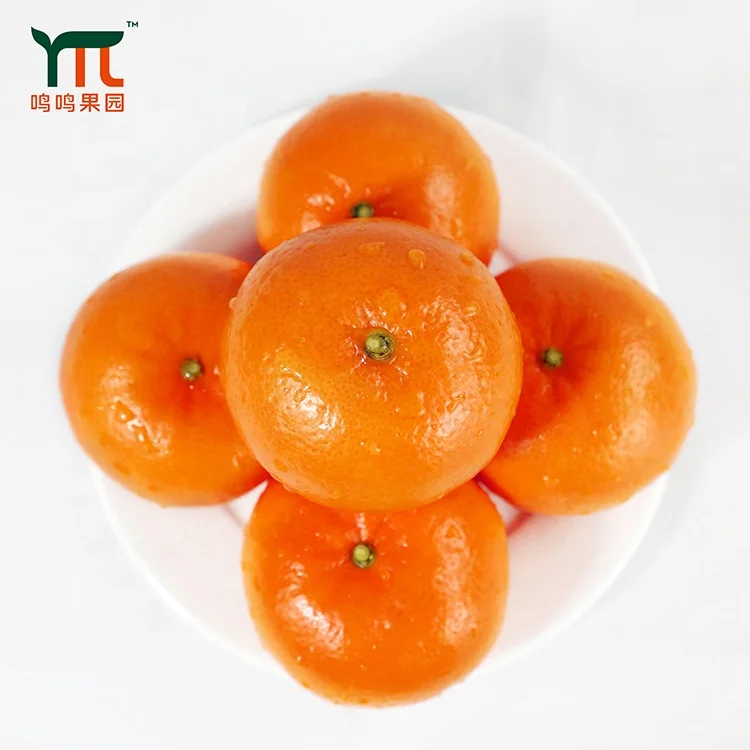 
Quality Assurance Newest Crop 2020 Fresh Citrus Fruit Supplier 