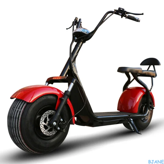 Nzita X12  Motorcycle/Bicycle/Citycoco/Eletric Scooter/Bike In Europe With COC And EEC