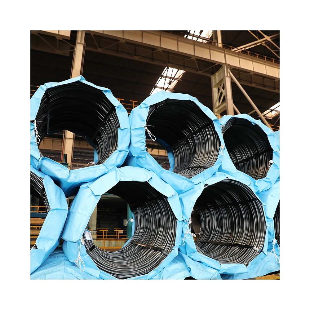 Manufacturers Provide Speargun Shaft Spring Steel And Stainless Steel Spring Ring