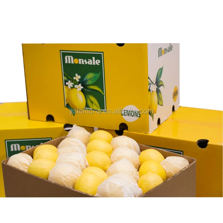 Montale, Размер 88, 100, 125, высокое качество, оптовая продажа, желтый лимон