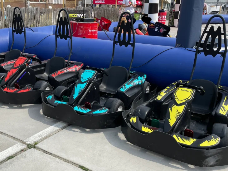 CAMMUS Pure Electric Commercial Kart Suitable for Adults