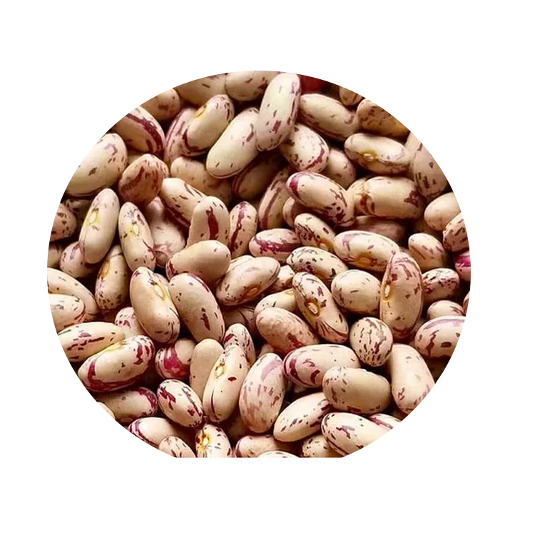 
Hot Sale High Quality Organic Light Speckled Kidney Beans 