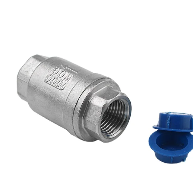 NPT Threaded Stainless Steel 304 1/2 inch Swing Check Valve