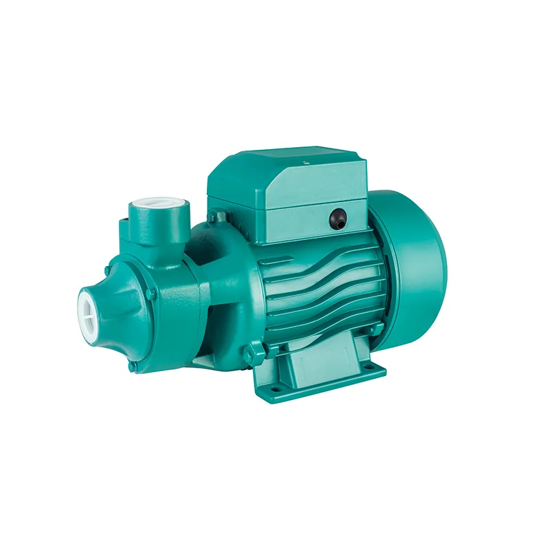 0.75HP/1HP Model QB60 Irrigation Agriculture OEM Supported  High Pressure Electric 220V Domestic Single-Stage Vortex Water Pump