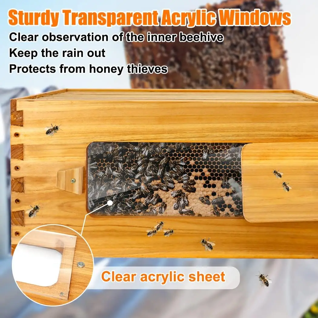 10 Frames Wood Wooden Beehive Box Langstroth Bee Hive with window