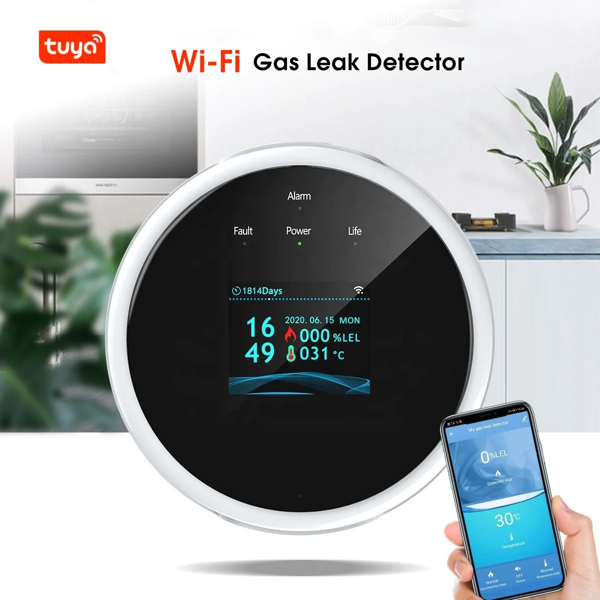 High Stability Tuya WiFi Gas Alarm Detector Household Smart Gas Leak Detector For Home