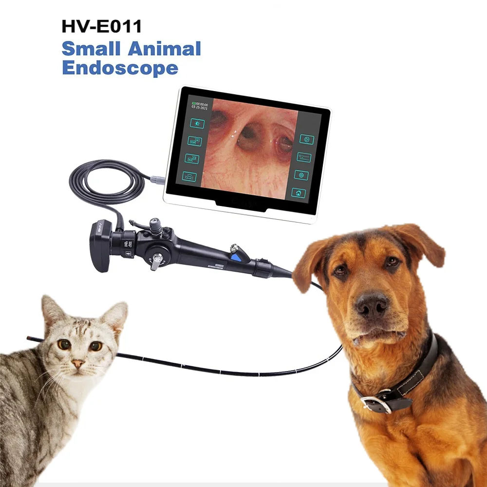 Flexible Portable Medical Grade Handle Reusable Fiber Optic Video Bronchoscope For Veternary Animal Clinic ENT