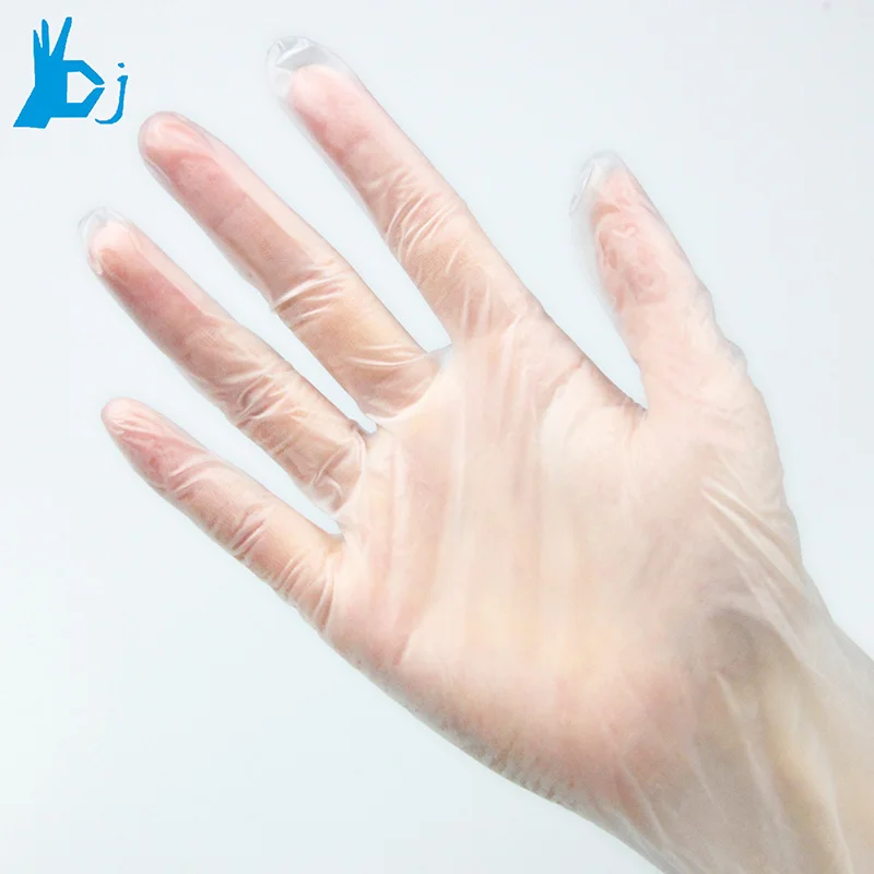 disposable pvc gloves vinyl gloves Powder Free Potato Cleaning Clear Gloves
