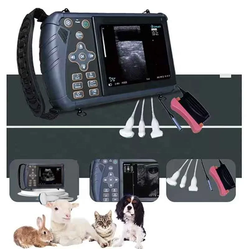 Dawei Veterinary Radiology Goat Ultrasound Machine Livestock Equipment