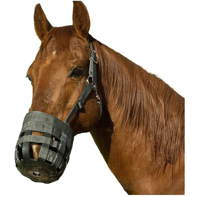 
Factory Direct Sales Equestrian Supplies Plastic Newest Grazing Horse Muzzle Horse Muzzle= 