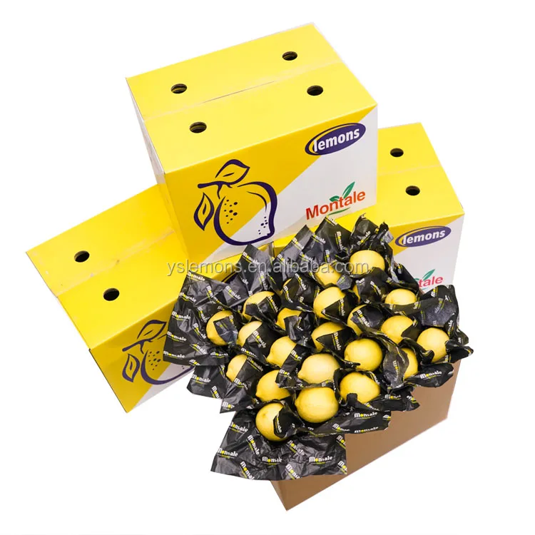 Wholesale Eureka Fresh Organic Lemon Glass Grade B High Quality Citrus Fruits