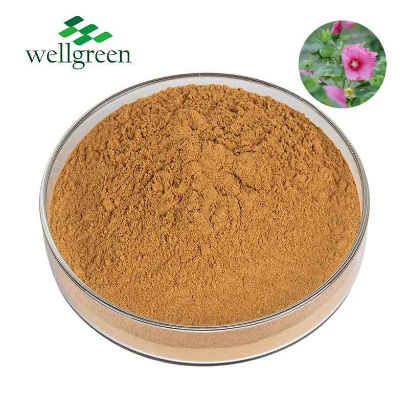 Natural Marshmallow Root Extract Supply Marshmallow Extract High Quality 10:1 Marshmallow Root Extract