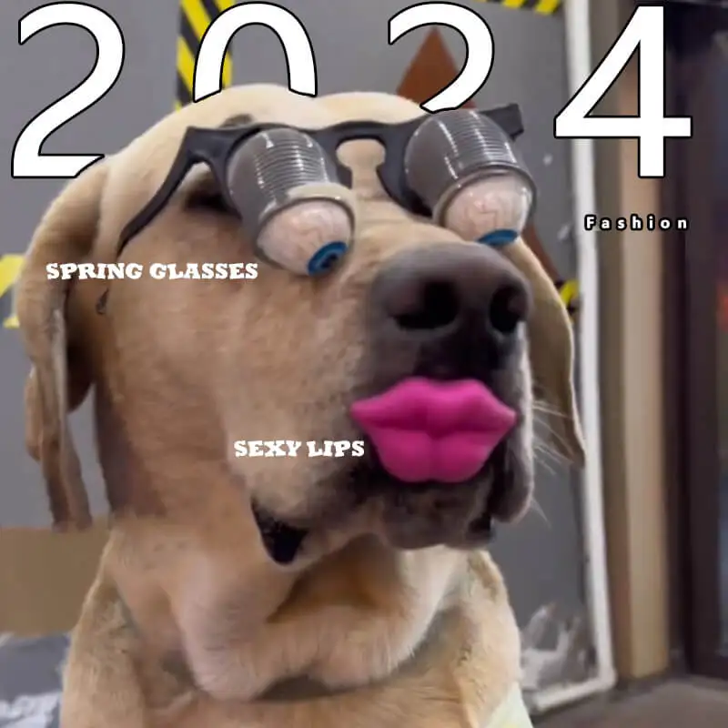 Funny pet dog accessories Funny bouncing glasses Spoof toy Holiday dress Halloween dog Headwear