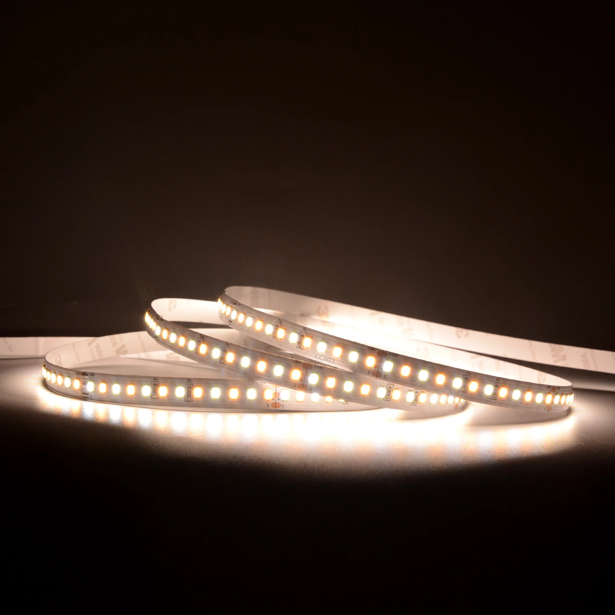 2835 168leds/m CCT LED Strip COXO