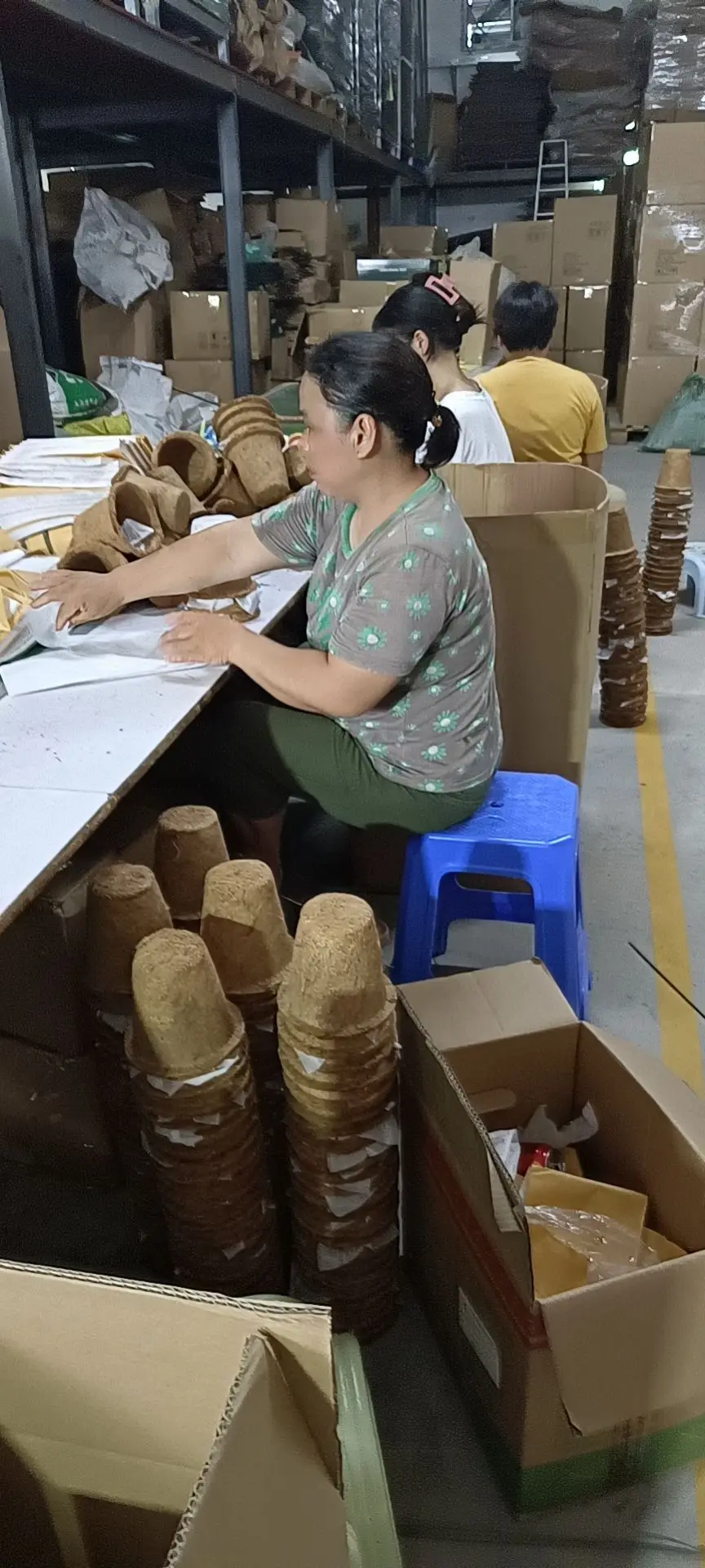 Wholesale 6 inch diameter Biodegradable Seedling Starter Planting peat pots