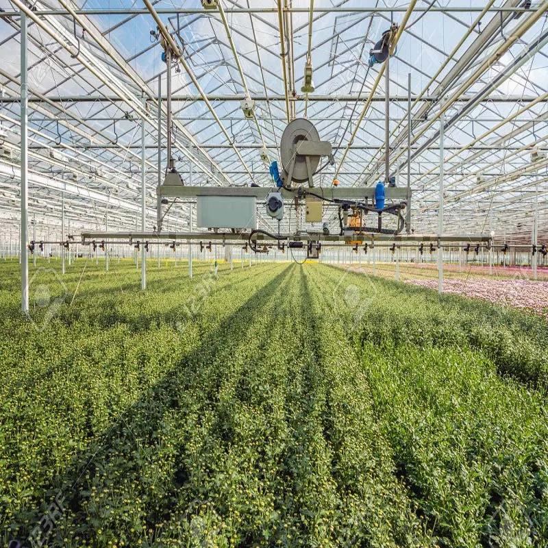 Полный стеклянный проект под ключ для сельскохозяйственной теплицы с быстрой конструкцией