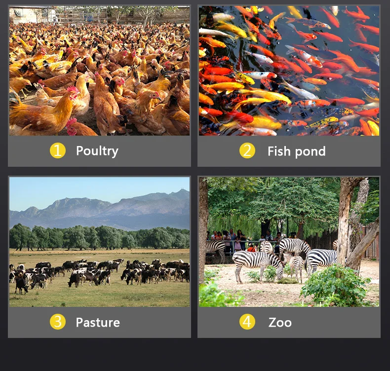 cheap 2.5mm 3mm 4mm 5mm poultry fish feed processing machines 220v/380v animal feed pellet machine for sell with Grinding disc