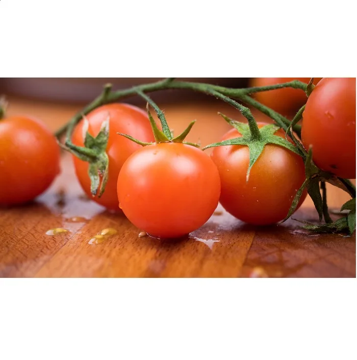 
Nutritive Fresh and Quality Tomato From Srilanka For Wholesale 