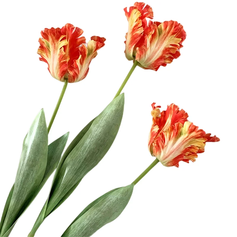 2023 New High Grade Artificial Real Touch Tulip Stem Parrot Tulips For Home Decor