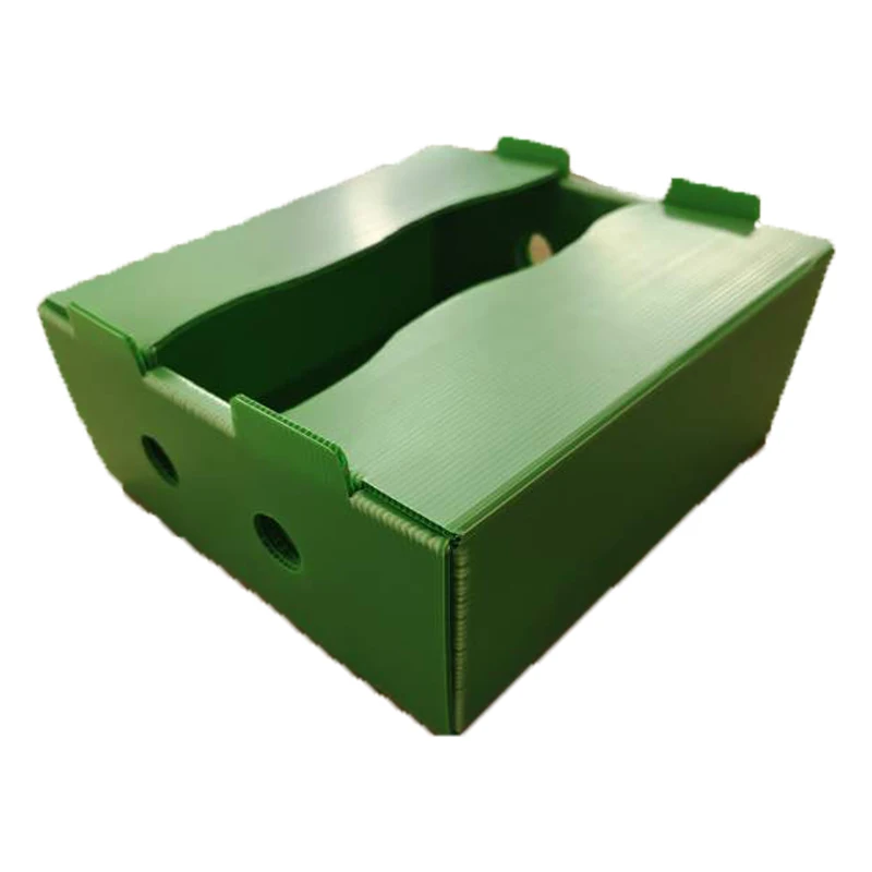 polypropylene sheet crates plastic storage collapsible crate vegetables crates corrugated cardboard box