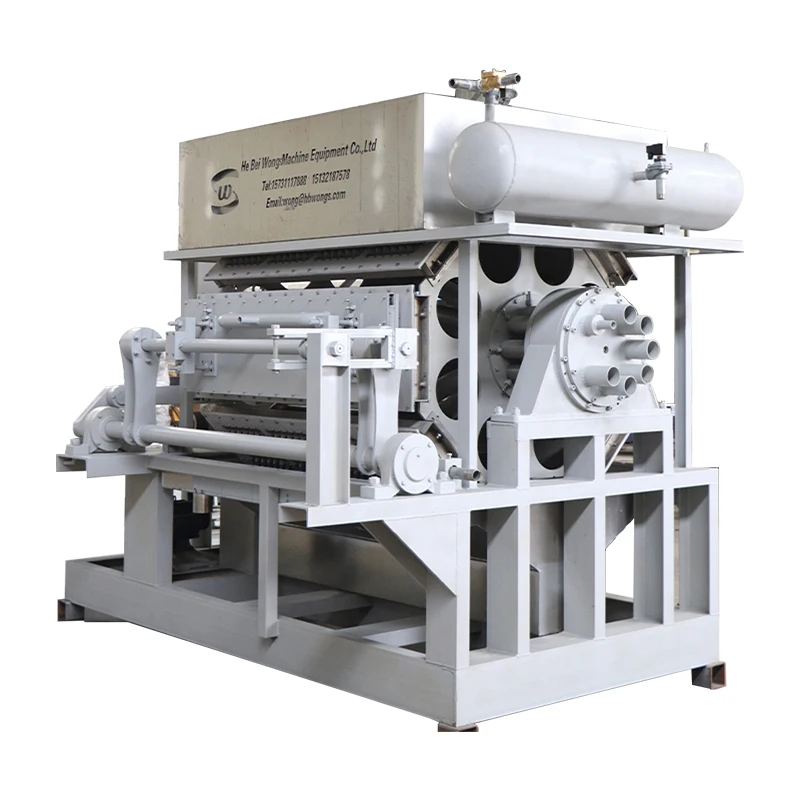 Paper Production Line Making Machine Egg Tray Machine Automatic for Paper Factory