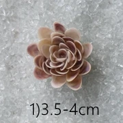 16 Styles Shell Flower Napkin Rings Natural Shell Napkin Holders Coastal Beach House Table Decor