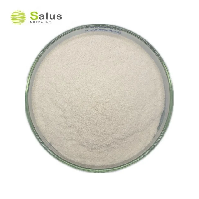 Best Price Chitosan Lactate (62402073742)