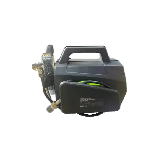 PCW-3V чистая физическая стерилизация сильной очистки 115V 230V 3300W 40.5X33X32CM высокое давление Паровая машина для