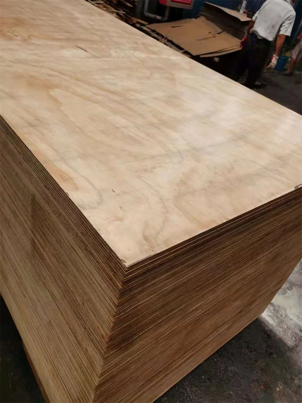 CDX Radiata Pine BB/CC Plywood Solid Poplar Core E1 Formaldehyde Emission Standards Wood Materials for Pine Ply Board
