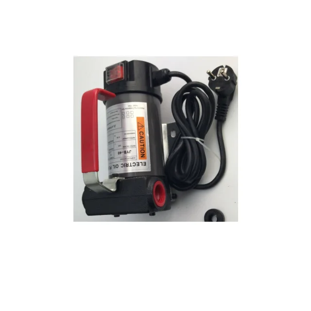 Durable 220V Diesel Transfer Pump/ Fuel Pump with Flow Rate 20 - 40L/min for Fuel Station