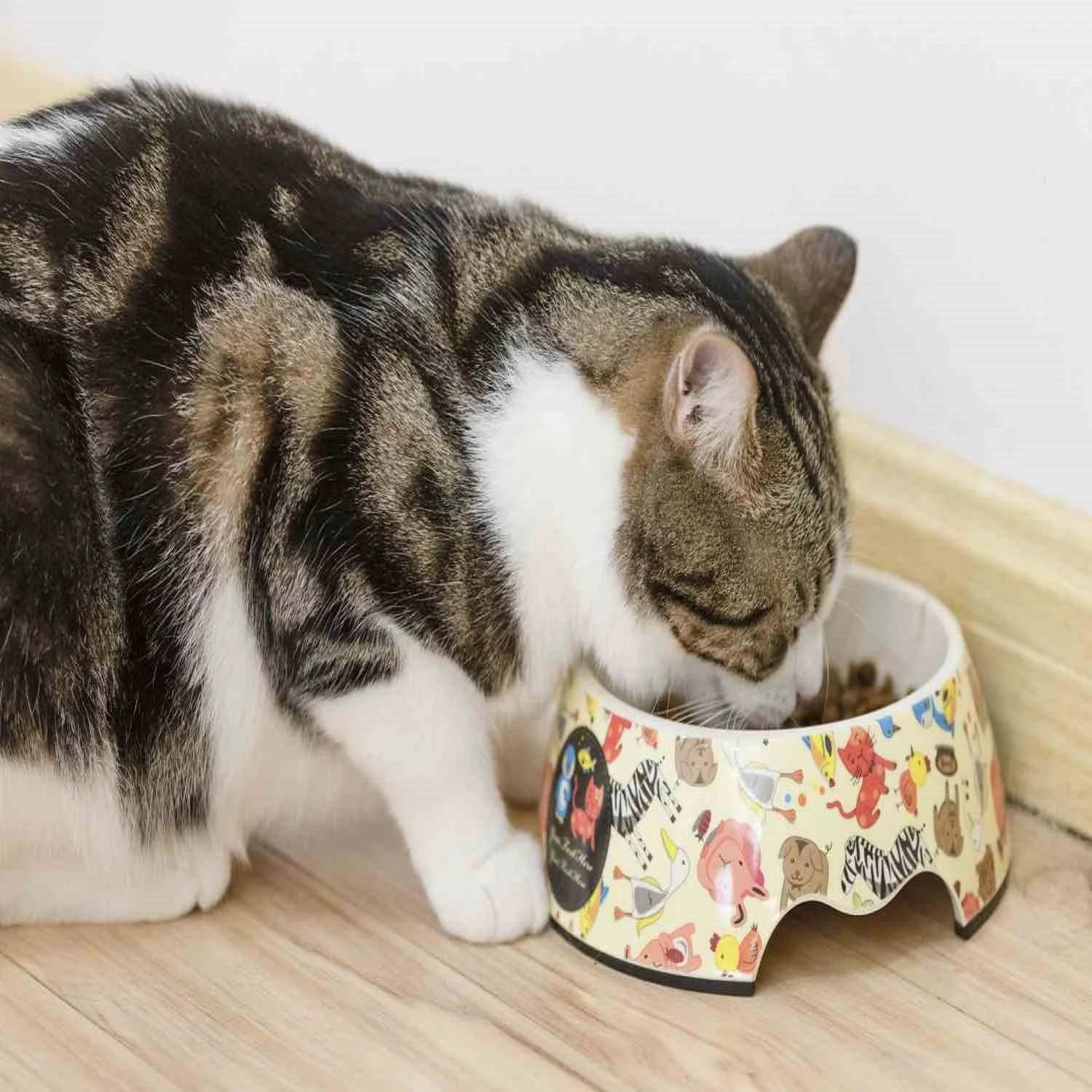  Котенок кошка рыба курица оптом еда для домашних животных сухой корм кошек Горох