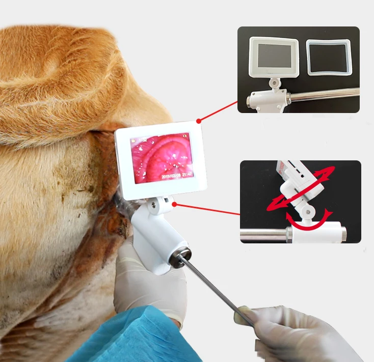 Manufacture cheapest price high definition hd camera visual artificial insemination gun for cow cattle horse equine goat sheep