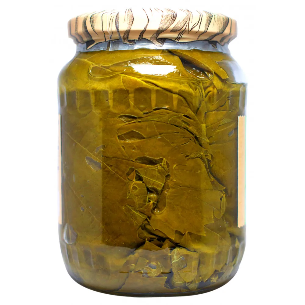 Fresh Style canned salted grape leaves or vine leaves in brine