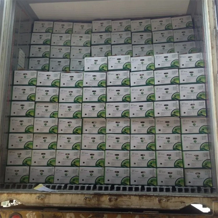 Garlic fresh normal white garlic in bulk Chinese ekspor red new crop big head ajo garlic bawang putih mesh bag