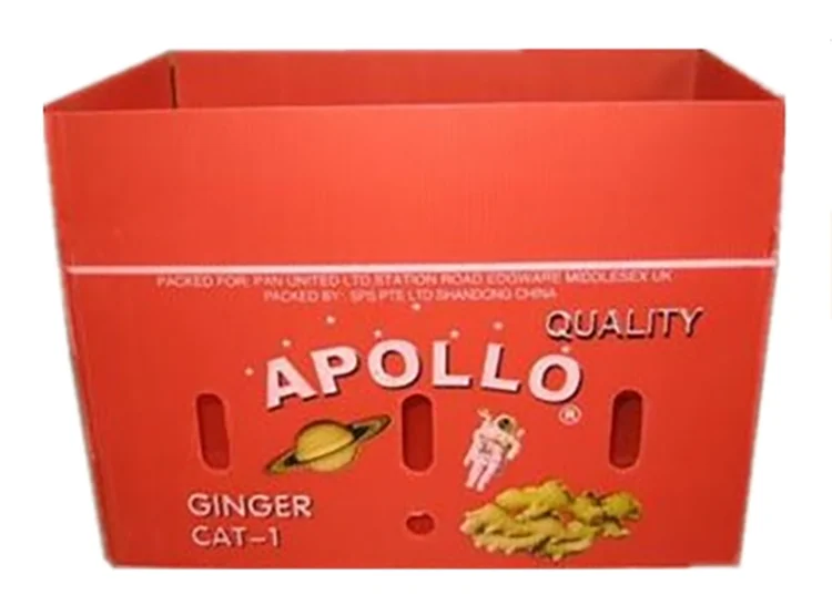 Ginger Box Ginger Plastic Box Fresh Ginger Plastic Packaging Box