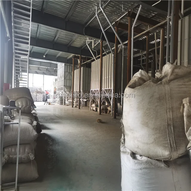 2021 Widely Selling Chinese organic bulk market price snow white pumpkin seeds