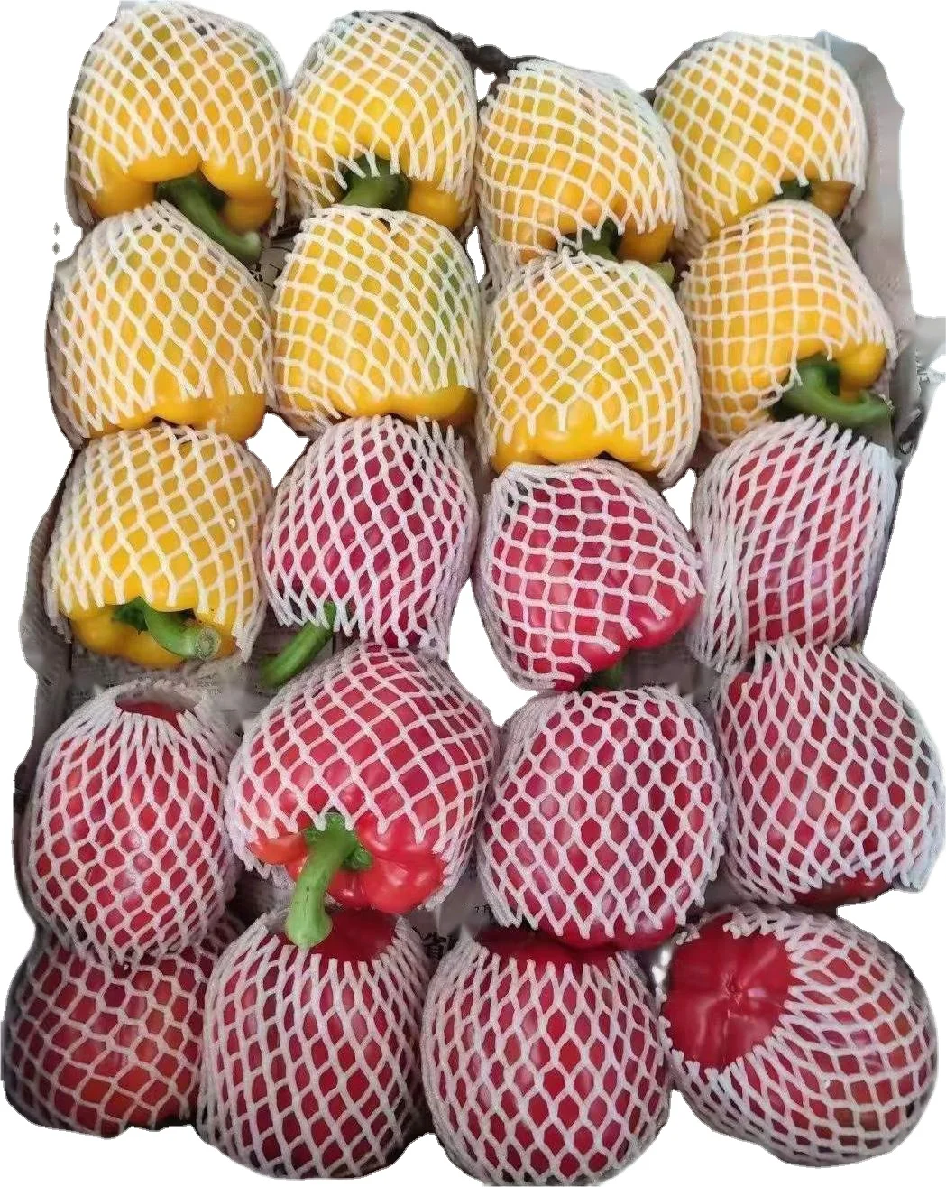 new harvest fresh bell pepper colorful capsicum sweet color bell pepper