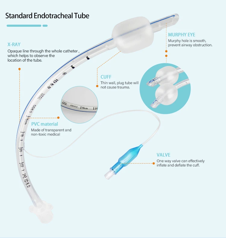 endotracheal tubes (1).jpg