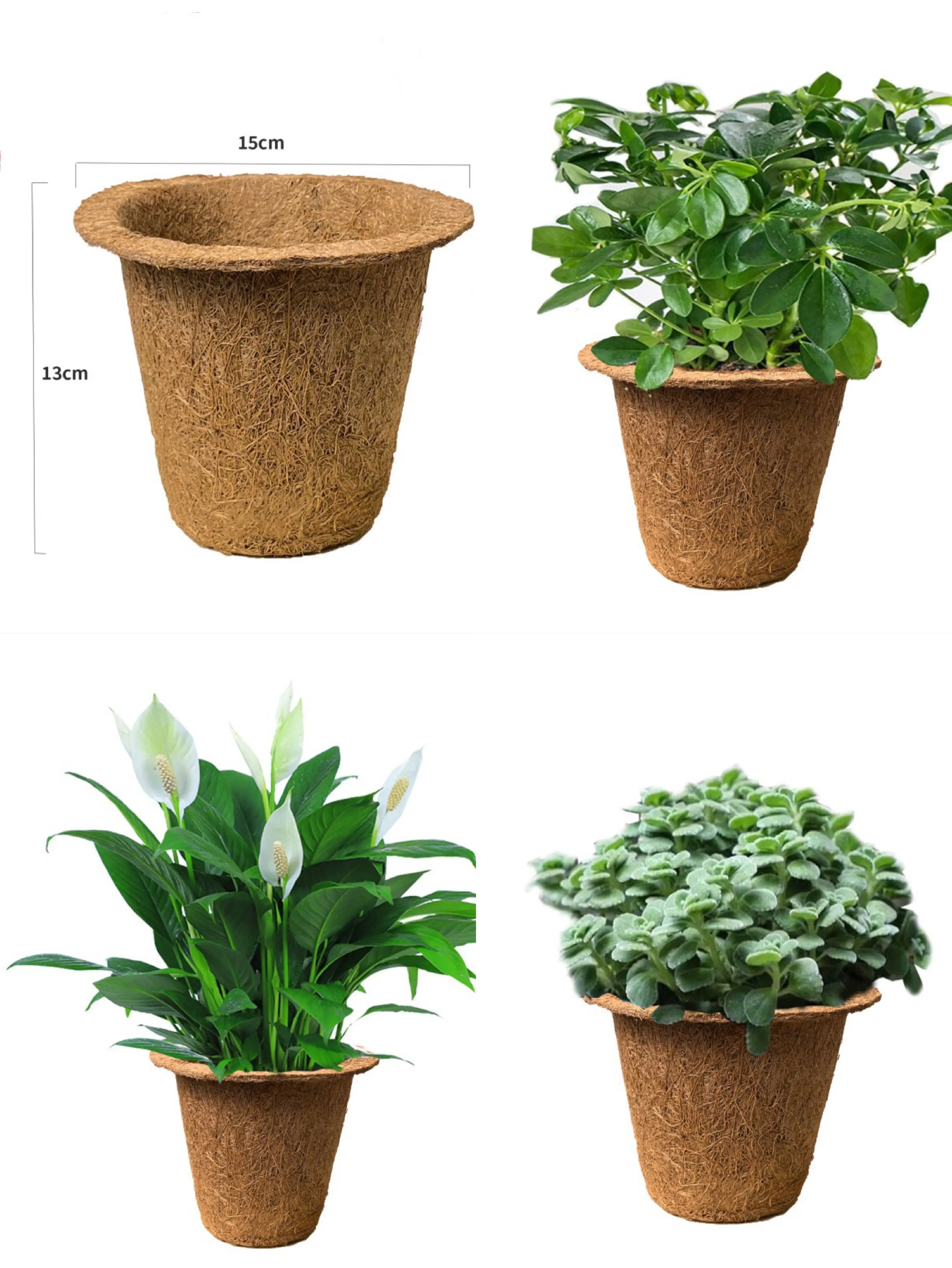 Wholesale 6 inch diameter Biodegradable Seedling Starter Planting peat pots