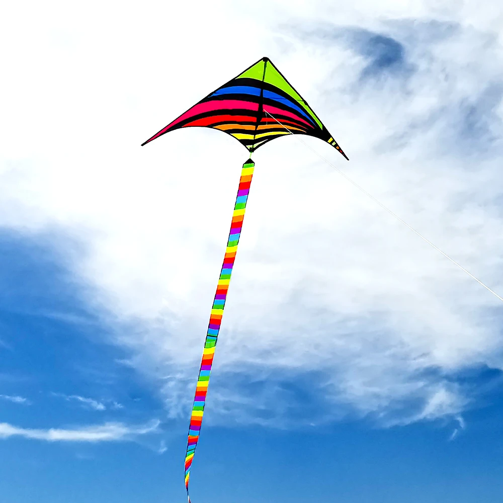 Factory Direct Wholesale Riotous Kite New Design Model Polyester Kite Fiberglass Frame Easy to Fly OEM Customized Lo