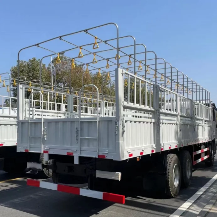 SINOTRUK HOWO 4X4 266HP 30 seats Labour Truck